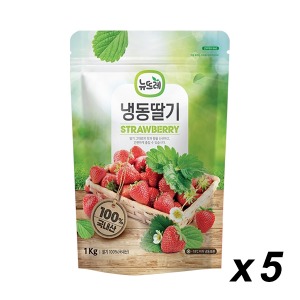 [냉동] 뉴뜨레 냉동 딸기(무가당 국내산) 1Kg 5개