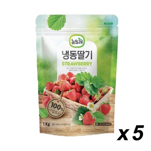 [냉동] 뉴뜨레 냉동 딸기(무가당 이집트산) 1kg 5개